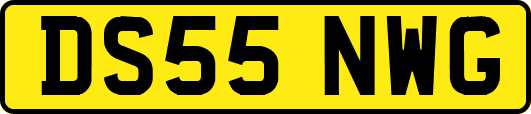 DS55NWG
