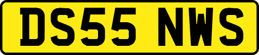 DS55NWS