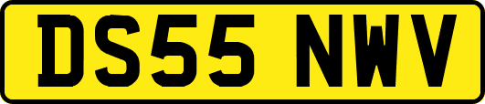DS55NWV