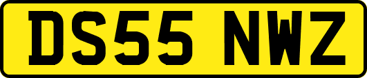 DS55NWZ