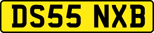 DS55NXB