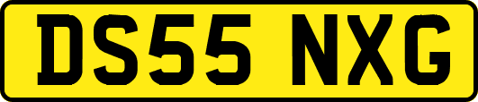 DS55NXG