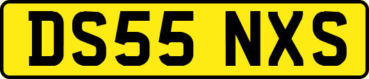 DS55NXS