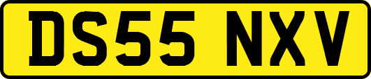 DS55NXV