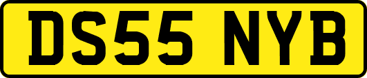 DS55NYB