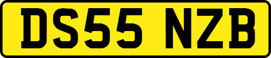 DS55NZB