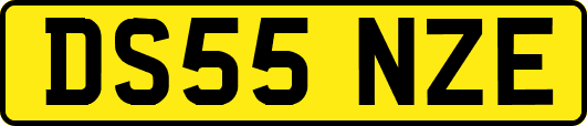 DS55NZE