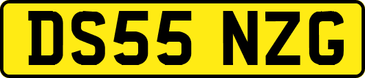 DS55NZG