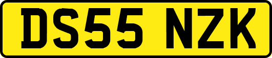 DS55NZK