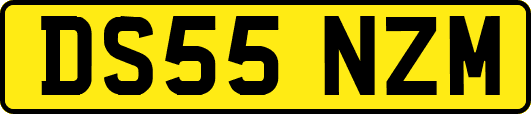 DS55NZM
