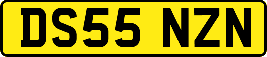 DS55NZN