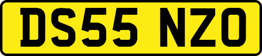 DS55NZO