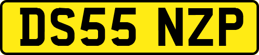 DS55NZP
