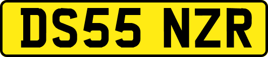 DS55NZR