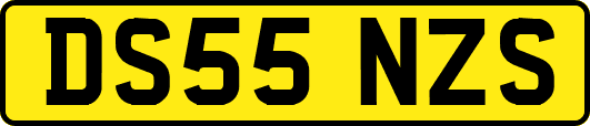 DS55NZS