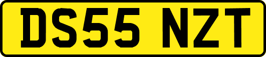 DS55NZT
