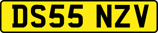 DS55NZV