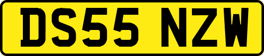 DS55NZW
