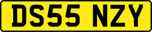DS55NZY
