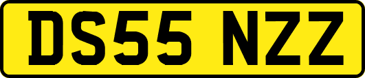 DS55NZZ