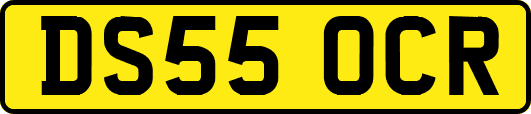 DS55OCR