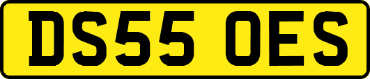 DS55OES