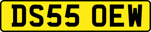 DS55OEW