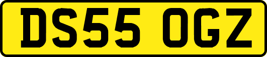 DS55OGZ