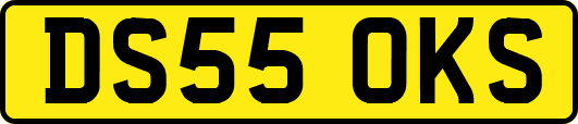 DS55OKS