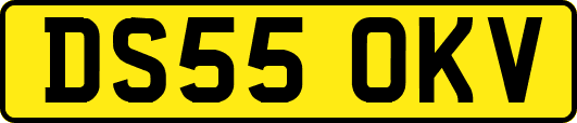 DS55OKV