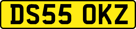 DS55OKZ