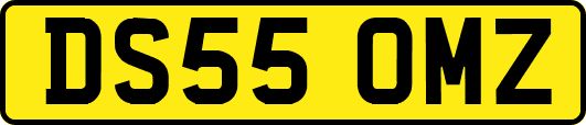DS55OMZ