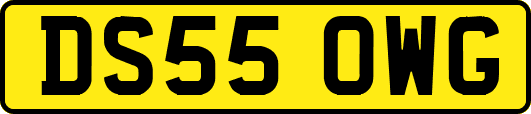 DS55OWG