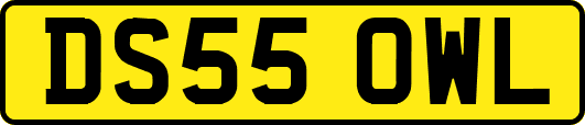 DS55OWL