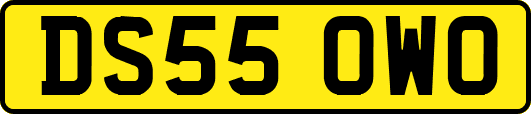 DS55OWO