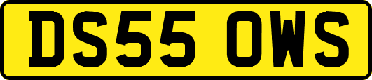 DS55OWS