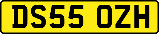DS55OZH