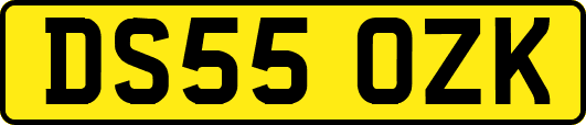 DS55OZK