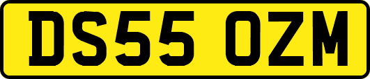DS55OZM