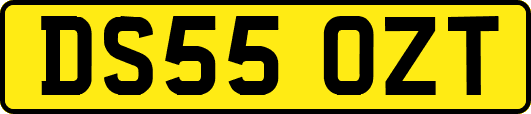 DS55OZT