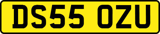 DS55OZU