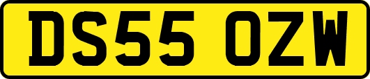 DS55OZW