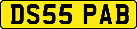 DS55PAB