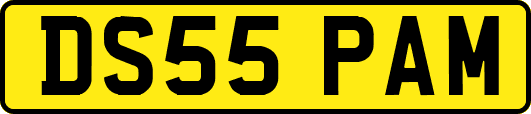 DS55PAM