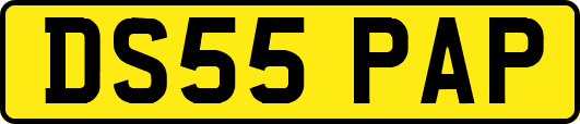 DS55PAP