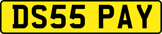 DS55PAY