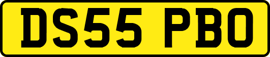 DS55PBO