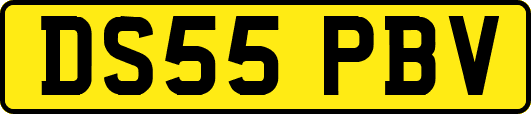 DS55PBV