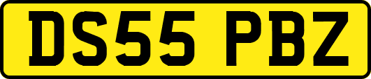 DS55PBZ