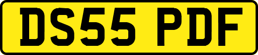 DS55PDF